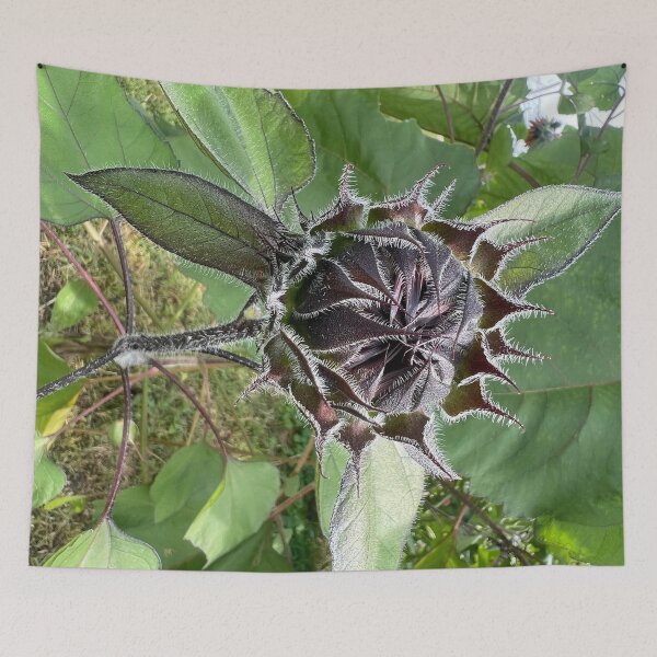 Item preview, Sunflower Bud 2 designed and sold by Abeink1030.