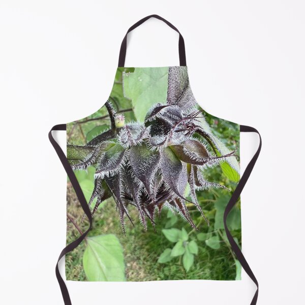 Item preview, Sunflower Bud 3 designed and sold by Abeink1030.