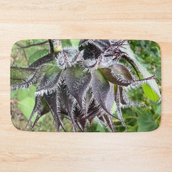 Item preview, Sunflower Bud 3 designed and sold by Abeink1030.