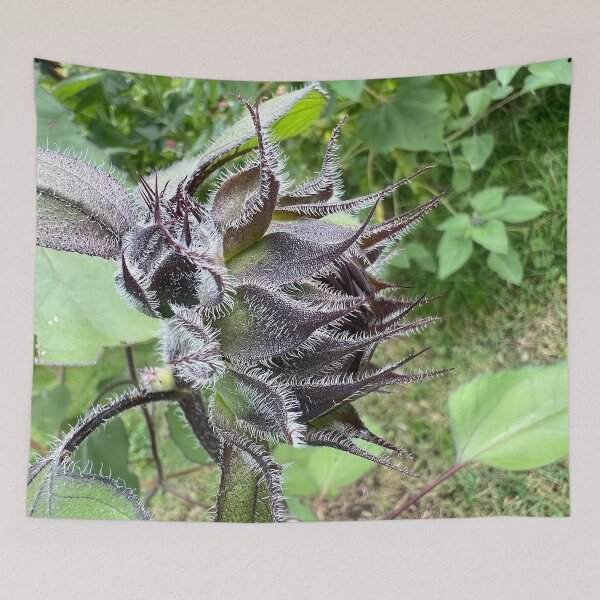 Item preview, Sunflower Bud 3 designed and sold by Abeink1030.