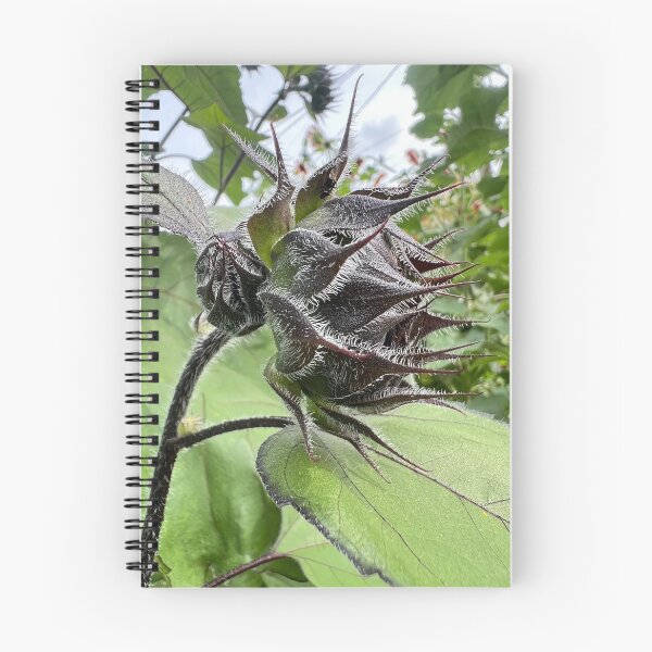 Item preview, Sunflower Bud designed and sold by Abeink1030.