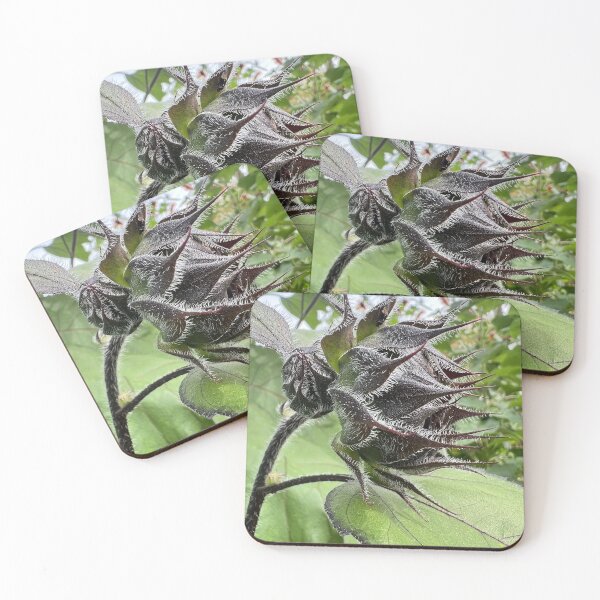 Item preview, Sunflower Bud designed and sold by Abeink1030.
