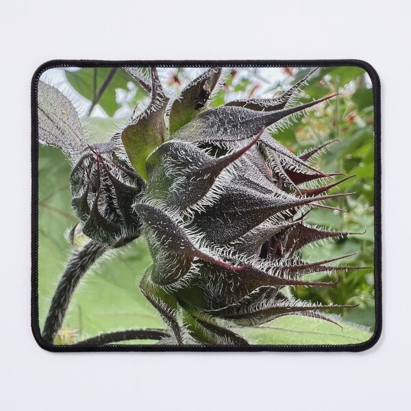 Item preview, Sunflower Bud designed and sold by Abeink1030.
