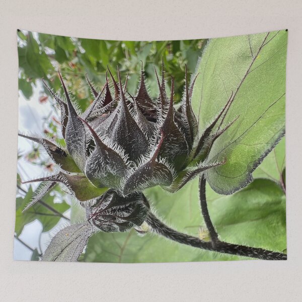 Item preview, Sunflower Bud designed and sold by Abeink1030.