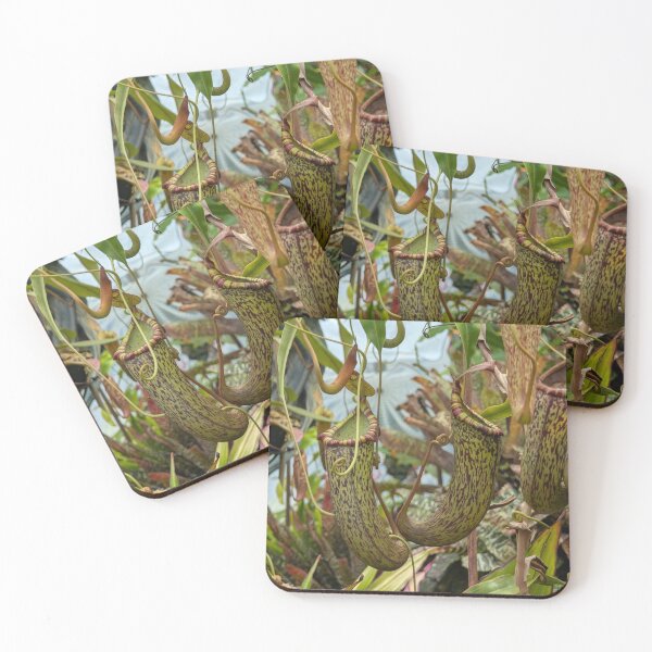 Item preview, Mesmerizing Speckled Carnivorous Pitcher Plant in Red & Green designed and sold by Photogenic Snap.
