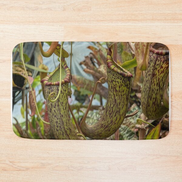 Item preview, Mesmerizing Speckled Carnivorous Pitcher Plant in Red & Green designed and sold by Photogenic Snap.
