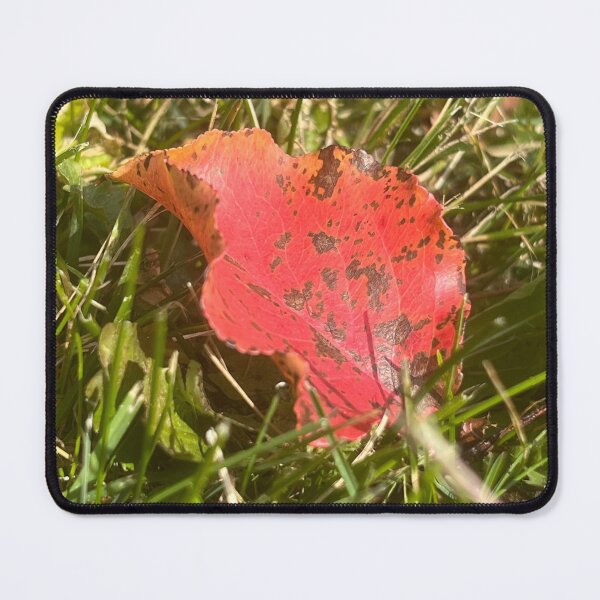 Item preview, 6 November 23 designed and sold by Abeink1030.