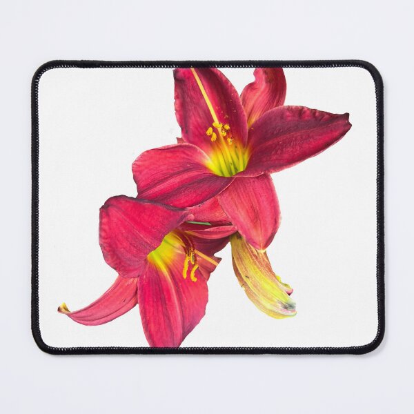 Item preview, Red Lily IV designed and sold by thedragonwolf.