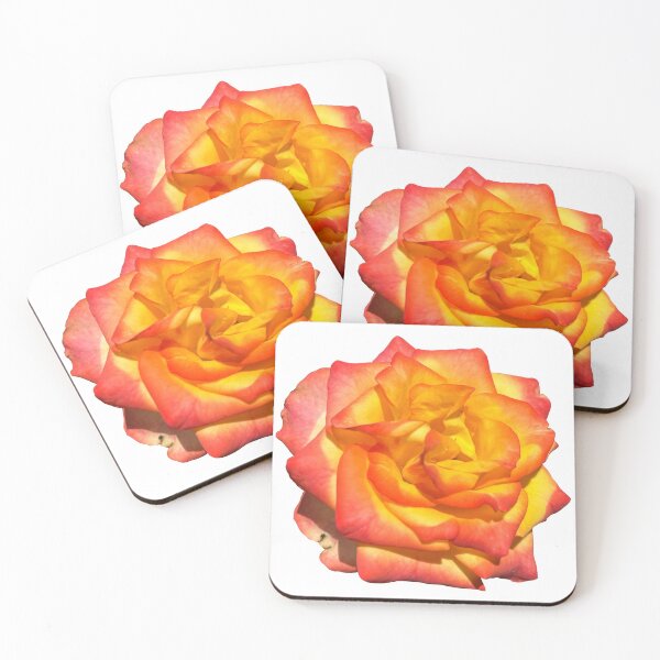 Item preview, Sunset Rose I designed and sold by thedragonwolf.