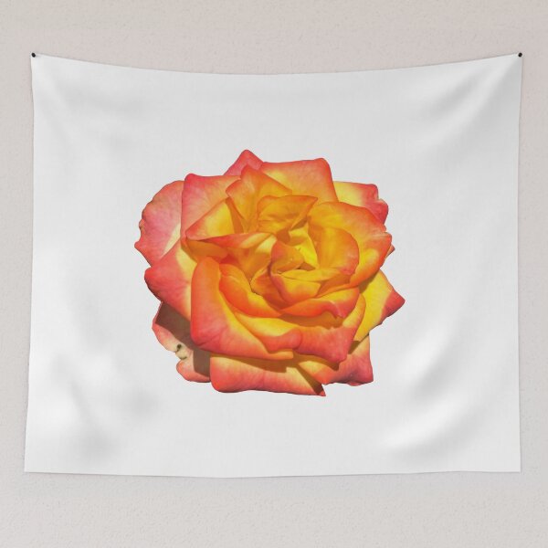 Item preview, Sunset Rose I designed and sold by thedragonwolf.