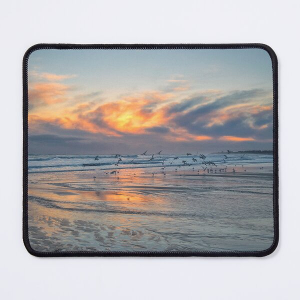 Item preview, Seabirds at sunrise on the Northumberland coast designed and sold by Violaman.