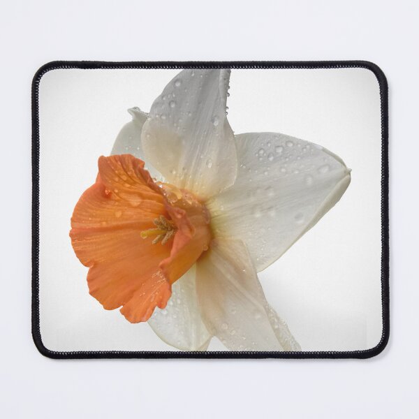 Item preview, Orange Daffodil Macro – Flora Macro Collection designed and sold by TsvietkovaArt.