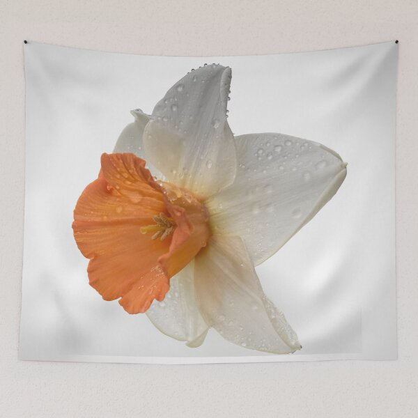 Item preview, Orange Daffodil Macro – Flora Macro Collection designed and sold by TsvietkovaArt.