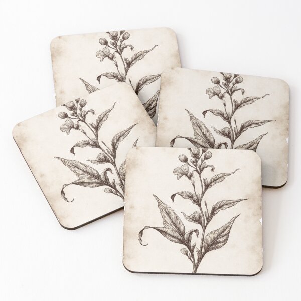 Item preview, Botanical Sketch with Latin Labels designed and sold by Roshini-John.