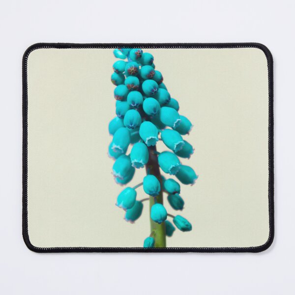 Item preview, Turquoise designed and sold by JEZ22.