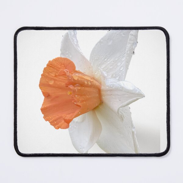 Item preview, Orange Daffodil Macro – Flora Macro Collection designed and sold by TsvietkovaArt.