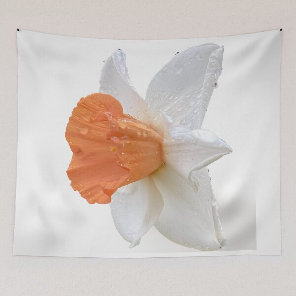 Item preview, Orange Daffodil Macro – Flora Macro Collection designed and sold by TsvietkovaArt.