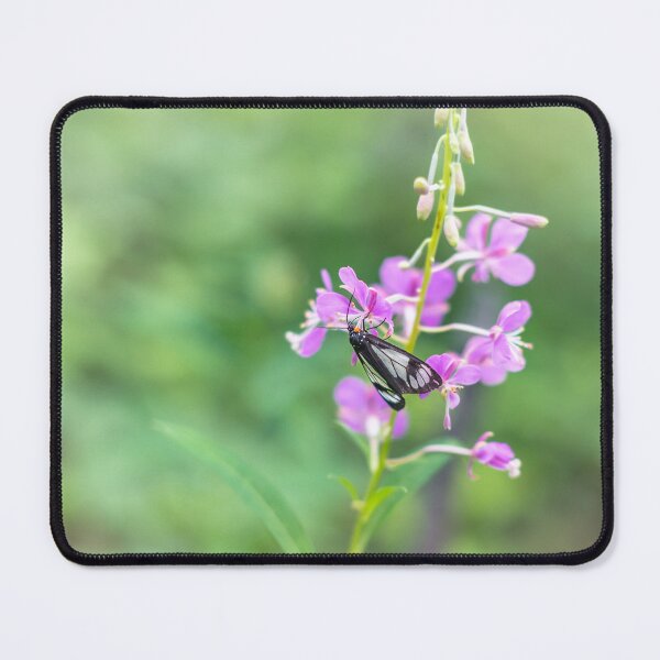 Item preview, Butterfly on Pink Fireweed Flowers designed and sold by Amy Mitchell.