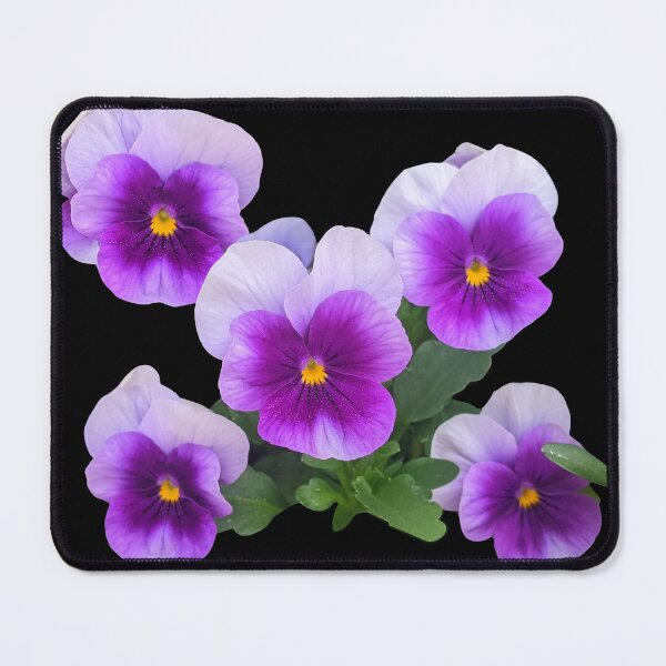 Item preview, Gorgeous Cute Five Purple Lilac Violet Pansies Shapes Mania designed and sold by Shapes-Mania.