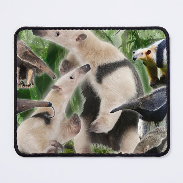 Item preview, Evangeline Anteater Collage designed and sold by Natalie Banker.
