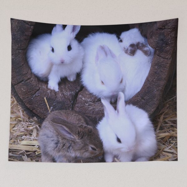 Item preview, Baby bunnies in a tree trunk – The ultimate cute scene / Swiss Artwork Photography designed and sold by Raphael Wolf.