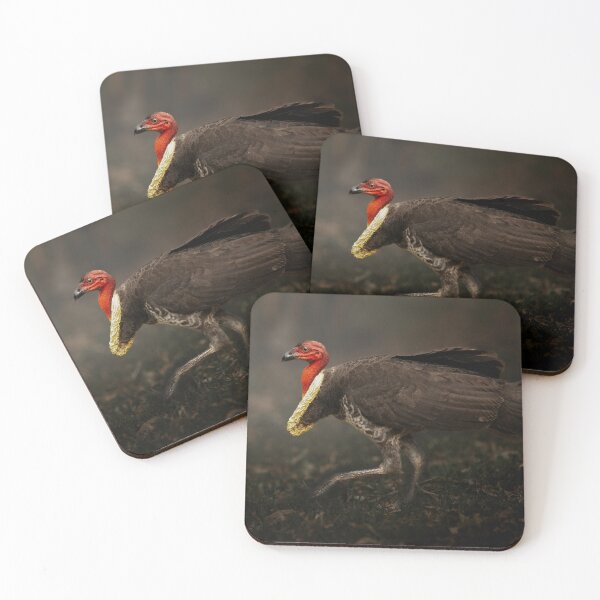 Item preview, Australian Brush Turkey designed and sold by robdanimalphotography.
