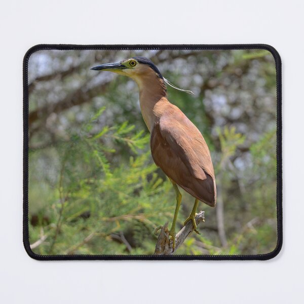 Item preview, On the tree Branch designed and sold by Jan Fijolek.