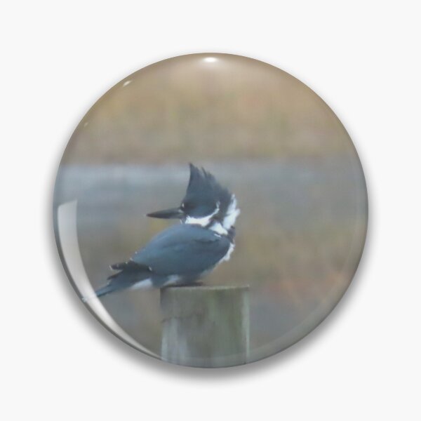 Item preview, Belted Kingfisher designed and sold by kimbarose.