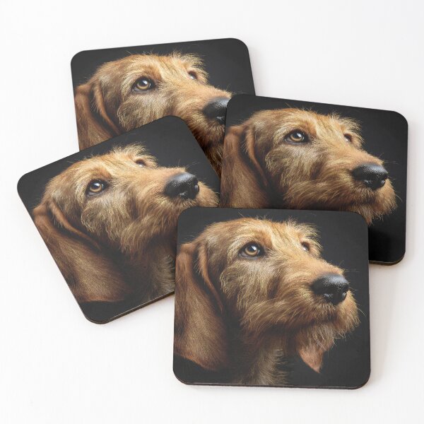 Item preview, Basset Fauve de Bretagne Portrait on Black designed and sold by Elisabeth Lucas.