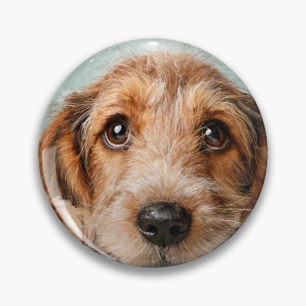 Item preview, Basset Fauve Peeking over Wall 01 designed and sold by Elisabeth Lucas.