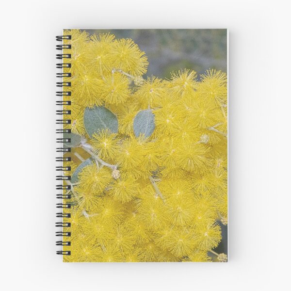 Item preview, Wattle Leith Park Victoria 20180613 2839  designed and sold by Fred Mitchell.