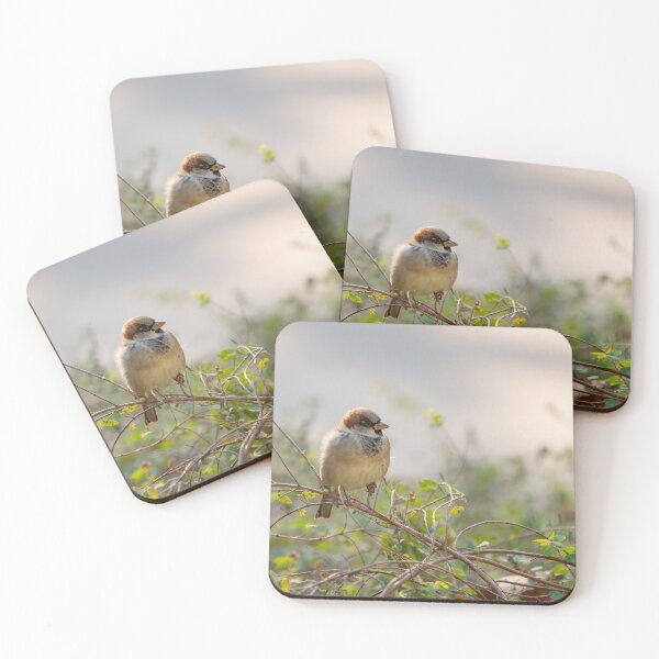 Item preview, House Sparrow in park designed and sold by Polky Art.