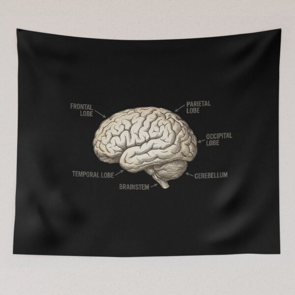 Item preview, Designed to think designed and sold by JustClothesShop .