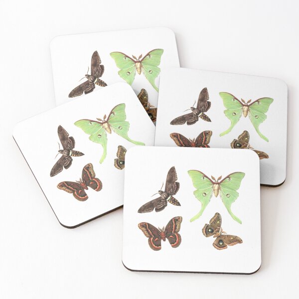 Item preview, Vintage Moth Collection designed and sold by mpbqzfls15.