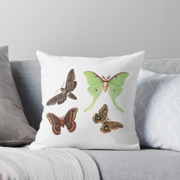Item preview, Vintage Moth Collection designed and sold by mpbqzfls15.