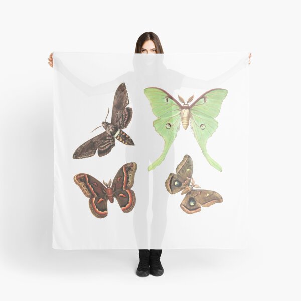 Item preview, Vintage Moth Collection designed and sold by mpbqzfls15.