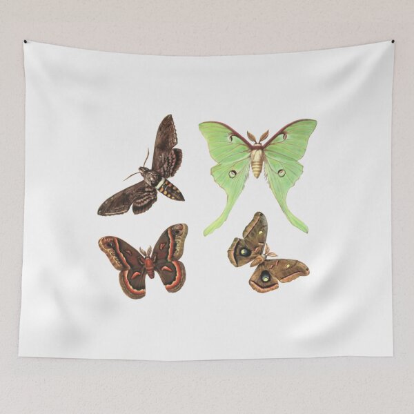 Item preview, Vintage Moth Collection designed and sold by mpbqzfls15.