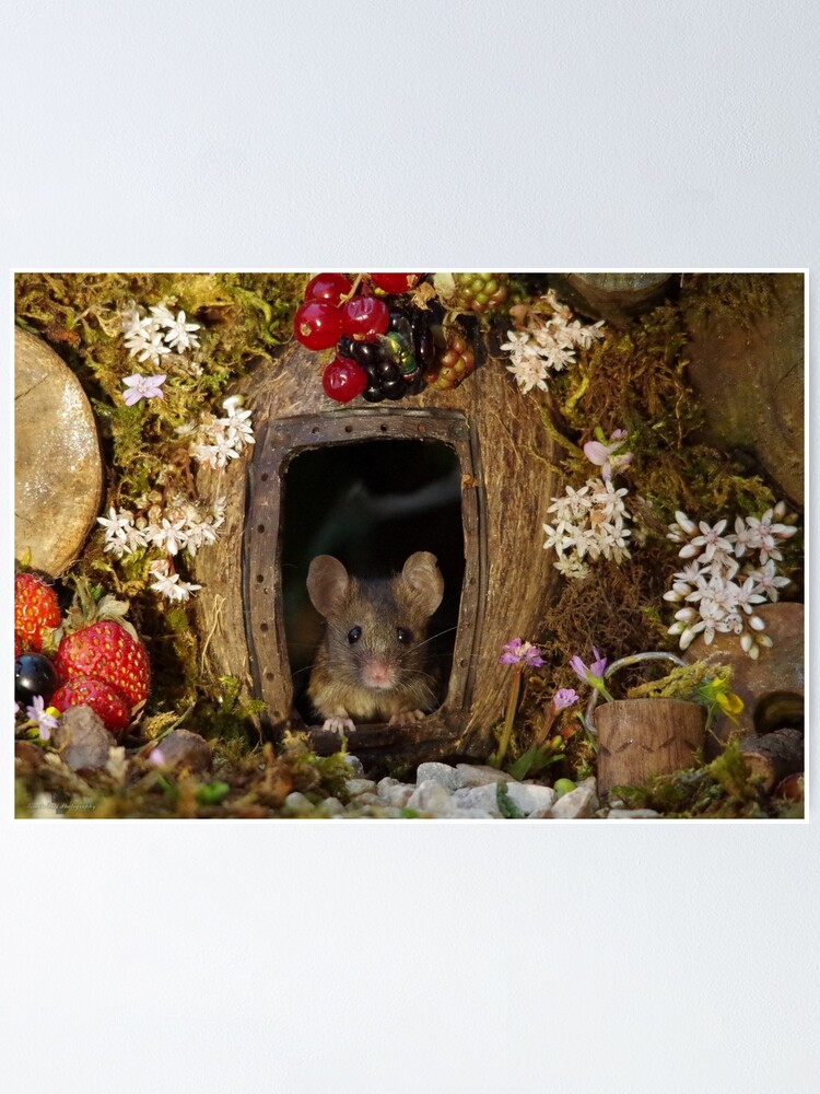 George the Mouse in a log pile house