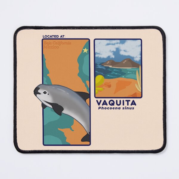 Item preview, Vaquita Porpoise Info Card  designed and sold by Aloe and Monstera.