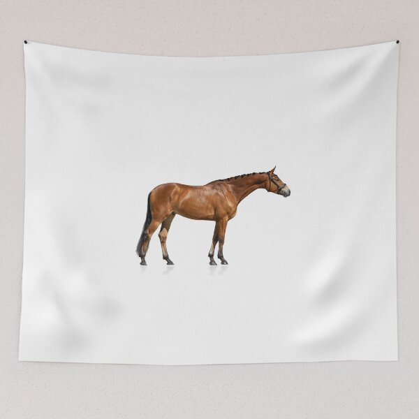 Item preview, Purebred horse standing isolated designed and sold by marusya1.