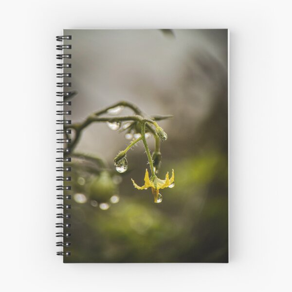 Item preview, Halcyon — Fine Art Flower Photography by Courageous Design designed and sold by Courageous Design.
