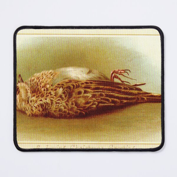 Item preview, Victorian Dead Bird Christmas – Dark Holiday Mourning Art Vintage Illustration designed and sold by Art Outlaws.