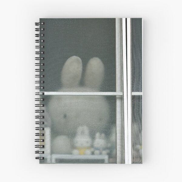 Item preview, Miffy toys behind a window in Kyoto, Japan. Original photography designed and sold by studio838.