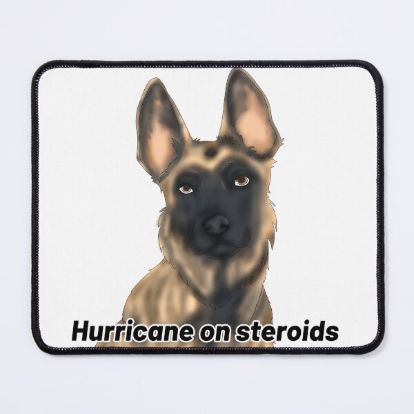 Item preview, Belgian Malinois – “Hurricane on Steroids” – Semi-Realistic Powerful Dog Design designed and sold by Crack-in-Colors.
