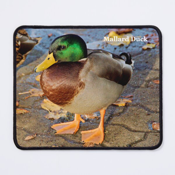 Item preview, Mallard Duck, River Avon, Evesham designed and sold by RJKYTE1970.