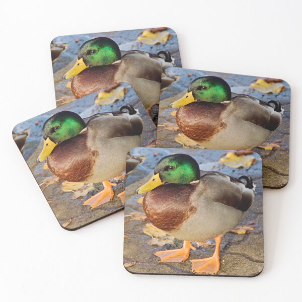 Item preview, Mallard Duck, River Avon, Evesham designed and sold by RJKYTE1970.