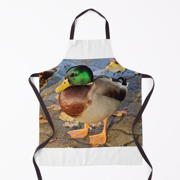 Item preview, Mallard Duck, River Avon, Evesham designed and sold by RJKYTE1970.