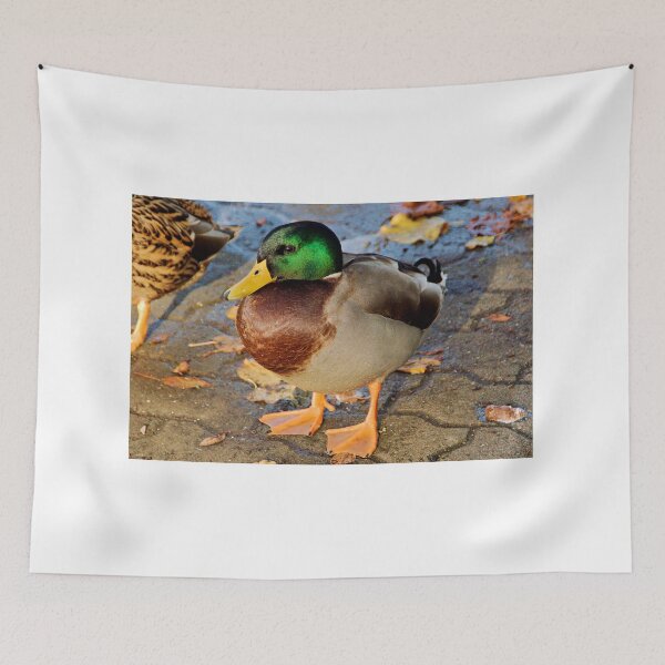 Item preview, Mallard Duck, River Avon, Evesham designed and sold by RJKYTE1970.