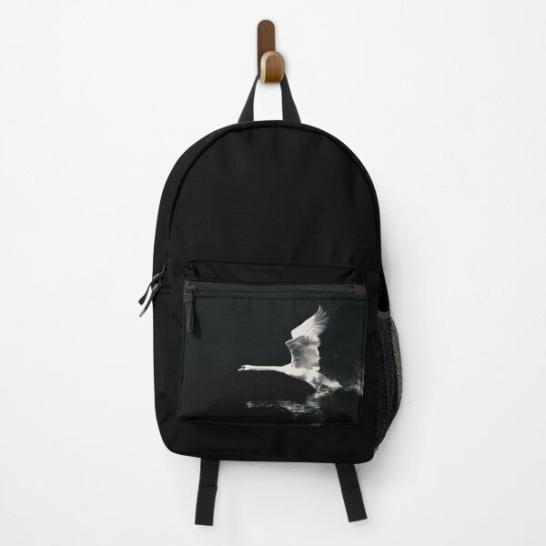 Item preview, Dynamic swan taking off – Arrow-like elegance / Swiss Artwork Photography designed and sold by Raphael Wolf.