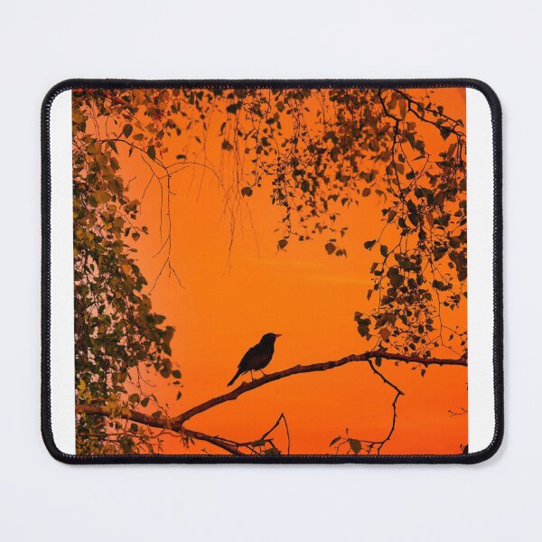 Item preview, Silhouette Sunset Photographic Print designed and sold by Mother-Nature65.